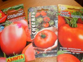 Il primo raccolto di pomodori - iniziare con quello che voti?