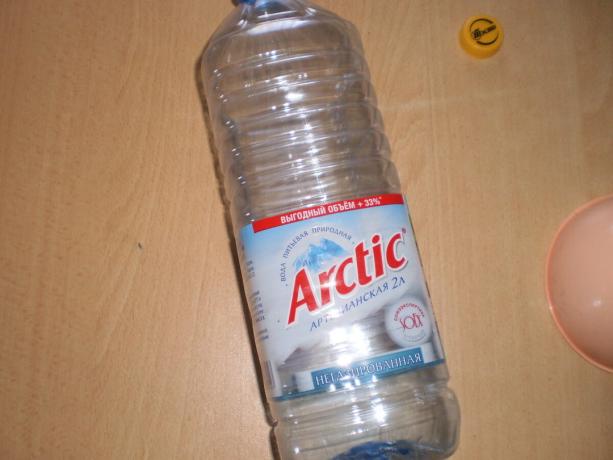 Avrà bisogno di una bottiglia di plastica da 2 litri.