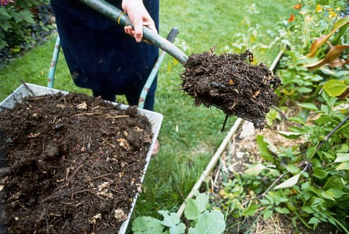 Aghi per il compost | Giardinaggio e orticoltura