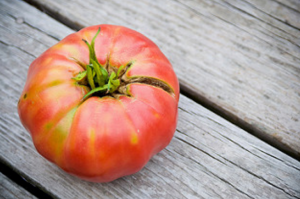 Coltivare pomodori deliziosi e buone su letti