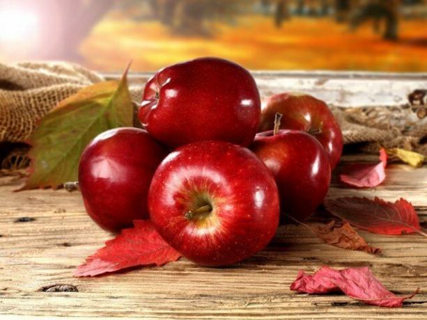 Quali sono i benefici delle mele e possono danneggiare il corpo