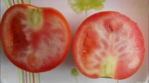 Perché coltivare pomodori con venature bianche, e cosa fare