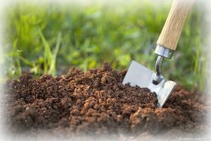 Come controllare l'acidità del suolo