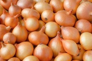 Varietà di cipolle, che sono ben tenute e danno grandi bulbi