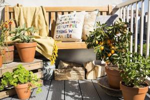 Come decorare un piccolo balcone, piante e fiori. 9 soluzioni utili.