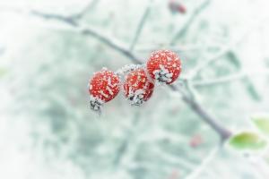 Qual è il pericolo nelle disgelo invernali?