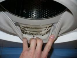 Come rimuovere l'odore di muffa dalla lavatrice