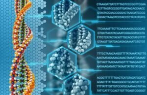 Il pericolo degli OGM, quello che è, l'impatto sulla salute umana