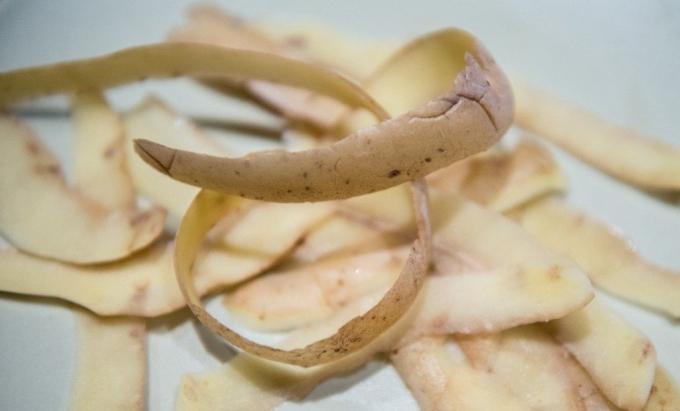 bucce di patate - un prodotto di valore (zhiteiskiesovety.ru)