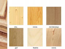 Quali specie di alberi sono utilizzati nella costruzione di case di legno?