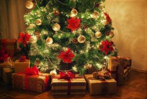 Come scegliere un albero di Natale, sulla base di segno zodiacale. 12 idee eccezionali