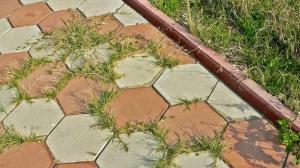 Un modo facile per sbarazzarsi di l'erba alta sul percorso del giardino tra le piastrelle: l'effetto di una giornata