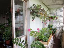 Come attrezzare un giardino d'inverno sul balcone