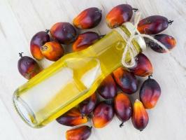 Quali sono le qualità benefiche e nocive dell'olio di palma?