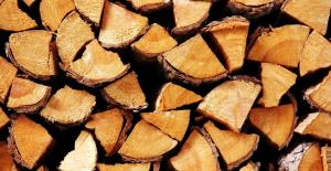 Quale migliore legna per riscaldare il forno?