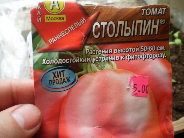 La varietà di pomodoro "Stolypin"