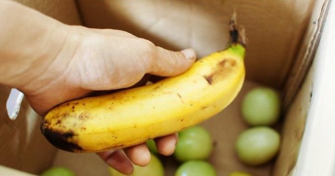 Banana matura accelera la maturazione dei pomodori verdi