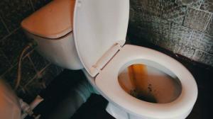 Come rapidamente e facilmente ripulire la toilette dalla ruggine e placca gialla?