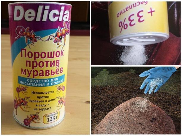 Delicia polvere formiche, il costo per 500g, più di 600 rubli.