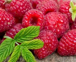 Berry-lamponi: piantagione e manutenzione caratteristiche. Raccolto ogni anno