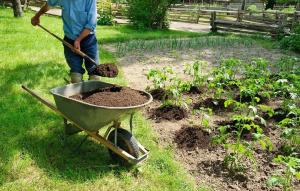 Fertilizzante organico nel giardino: 5 migliore senza la chimica