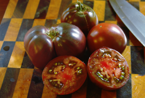 5 varietà di deliziosi pomodori con note violacee