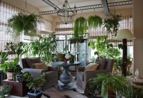 Come originale e con gusto decorare le vostre piante di casa, rendendo l'interno delle stanze indimenticabili. 6 idee progettuali