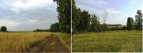 La trama è relativamente piatto, con tutte le parti della foresta.