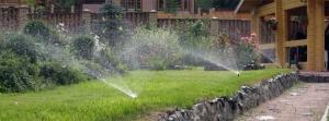 Come rendere il sistema di irrigazione automatica